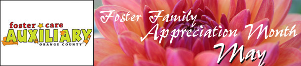 click to go to foster care auxiliary website