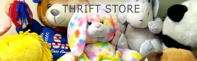 Thrift Store Thrift Store